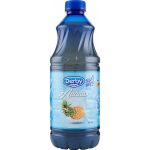 SUCCO DERBY ANANAS lt.1.5X6 PET