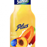 SUCCO SANTAL PESCA-MANGO cl.25×24