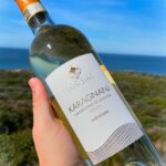 VINO TONDINI KARAGNANJ cl.75
