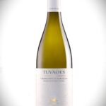 VINO CHERCHI TUVAOES cl.75