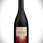 VINO RAICHINA ROSSO cl.75