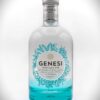GIN GENESI RAU cl.70