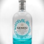 GIN GENESI RAU cl.70