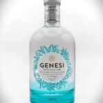 GIN GENESI RAU cl. 70