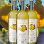 LIQUORE ALLA POMPIA OROSEI cl.50