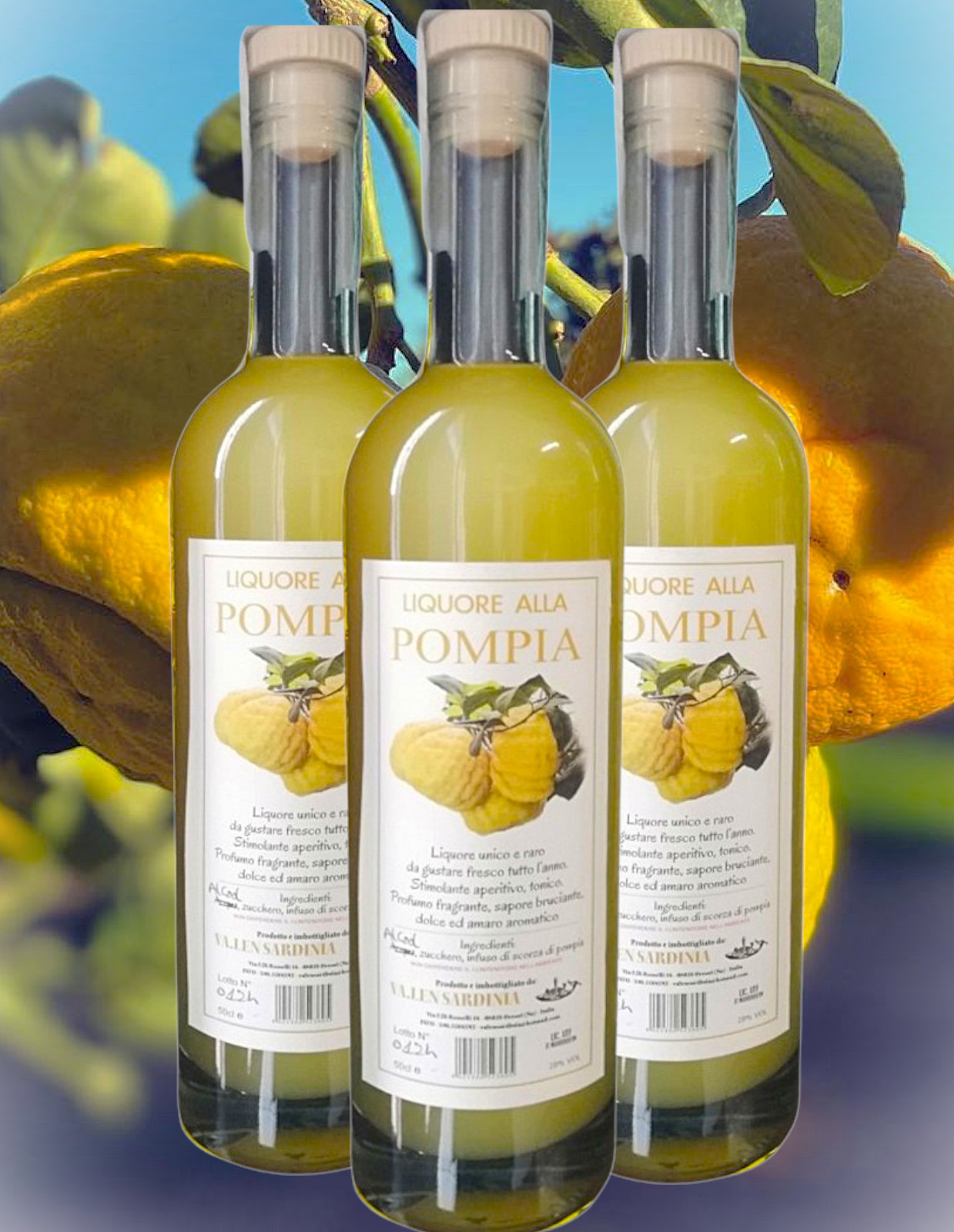 LIQUORE ALLA POMPIA OROSEI cl.50